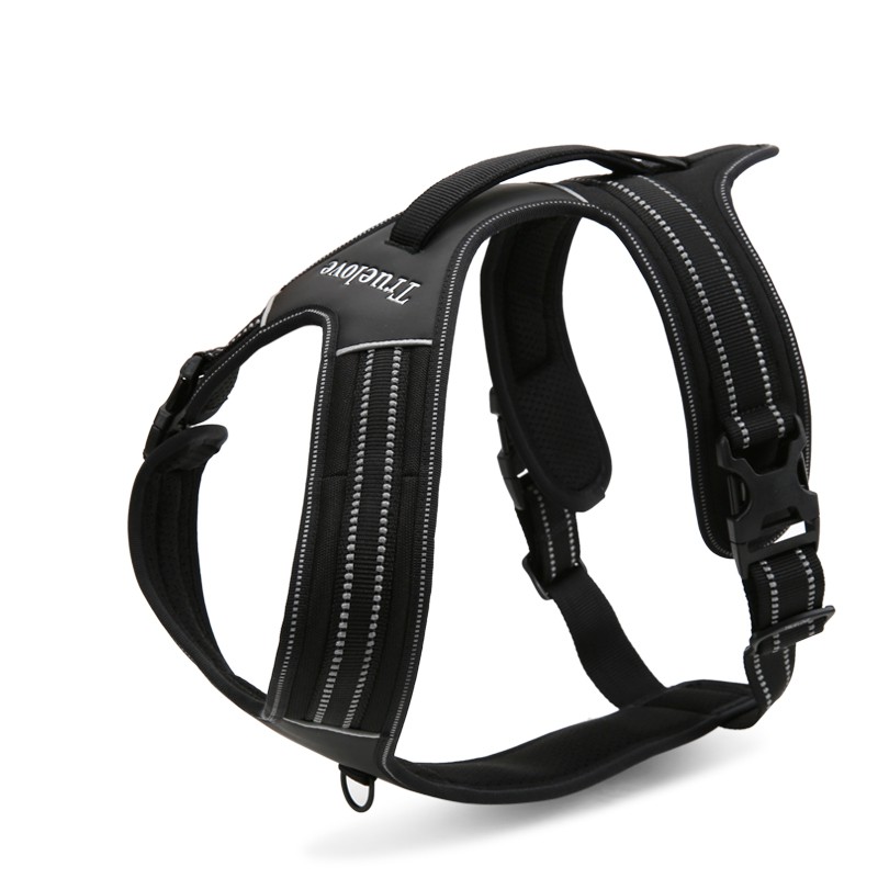 Truelove Forest Harness