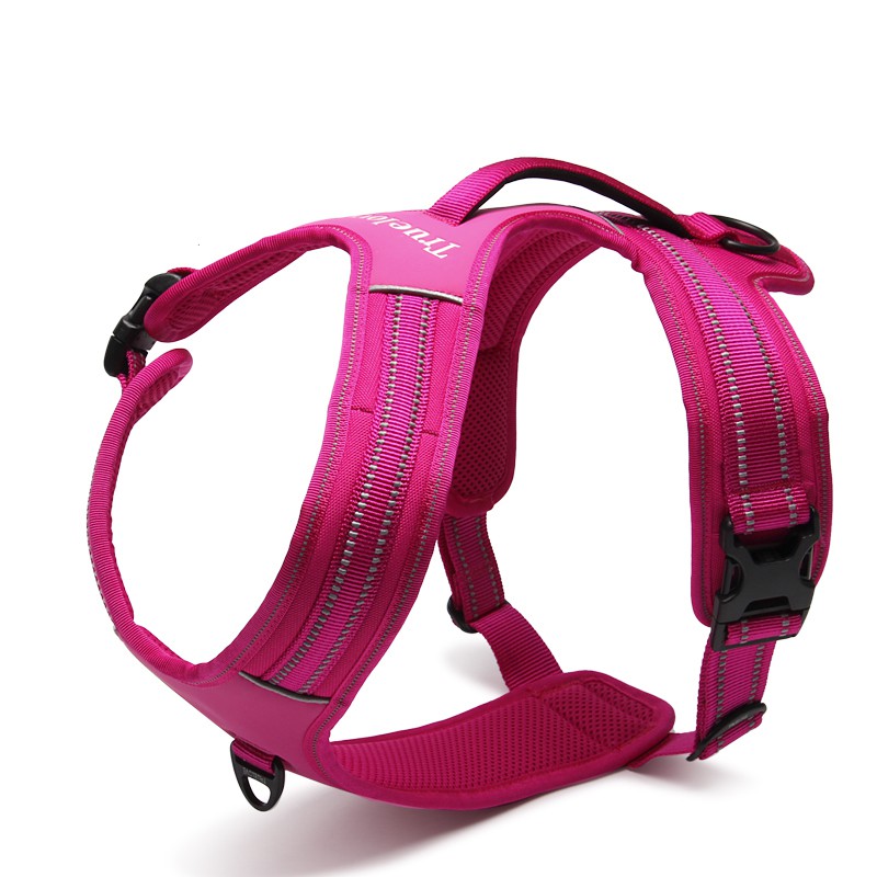 Truelove Forest Harness