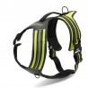 Truelove Forest Harness