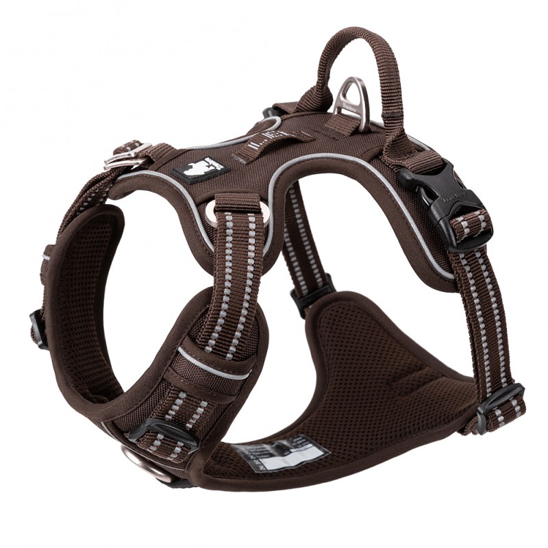 Truelove Country + Harness