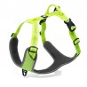 Truelove Mountain Harness