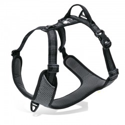 Truelove Mountain Harness