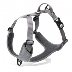 Truelove Mountain Harness