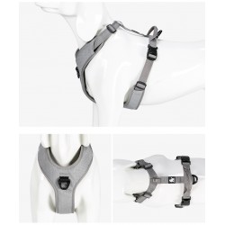 Truelove Mountain Harness