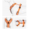 Truelove Mountain Harness