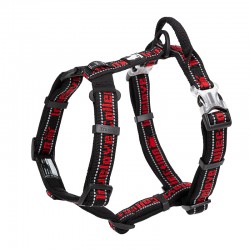 Truelove Escape + Harness