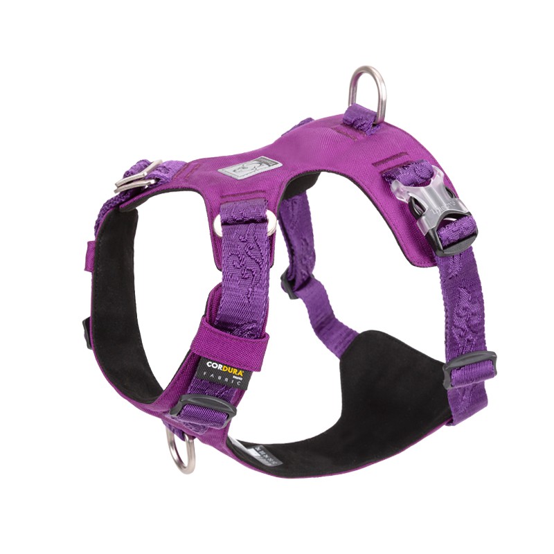 Truelove Colorado Harness