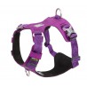 Truelove Colorado Harness