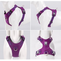 Truelove Colorado Harness