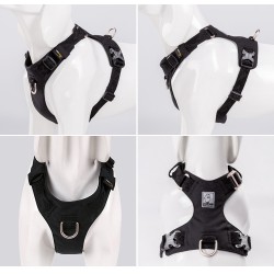 Truelove Colorado Harness