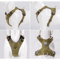 Truelove Colorado Harness