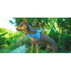 Truelove Alaska Harness