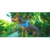 Truelove Alaska Harness