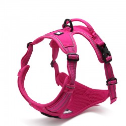 Truelove Country Training Harness