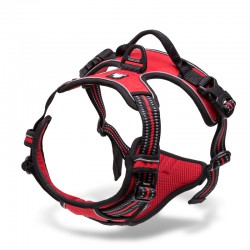 Truelove Country Training Harness