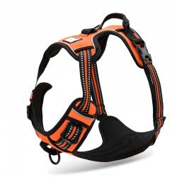 Truelove Country Training Harness