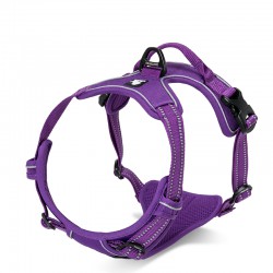 Truelove Country Training Harness