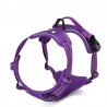 Truelove Country Training Harness