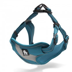 Truelove Training Harness