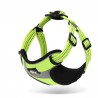 Truelove Training Harness