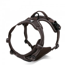 Truelove Country Training Harness