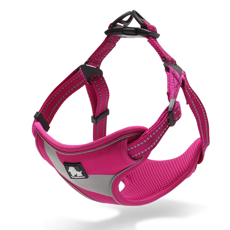 Truelove Training Harness