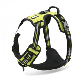 Truelove Country Training Harness