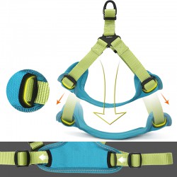 Truelove Hunting Harness