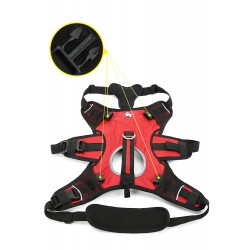 Truelove Excursion Harness