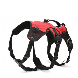 Truelove Excursion Harness