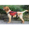 Truelove Excursion Harness