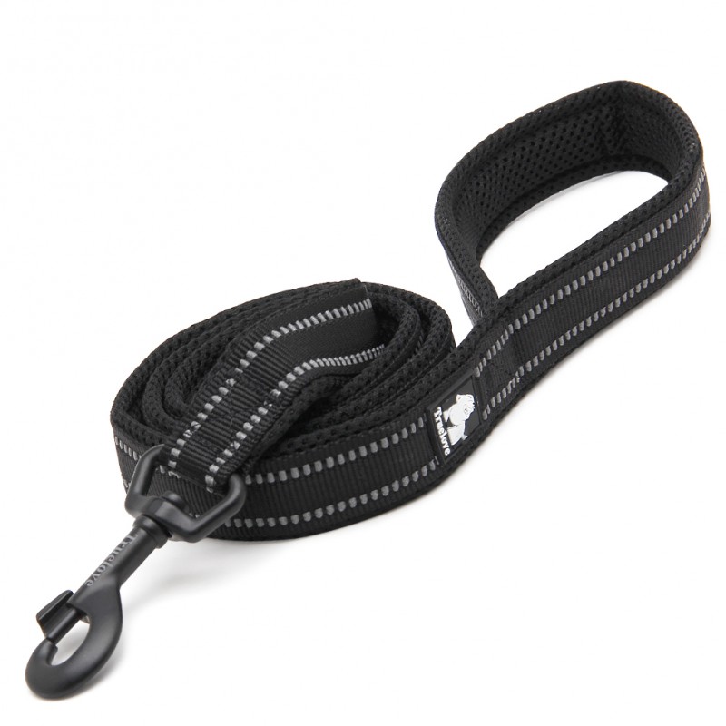 Truelove Walking Leash