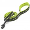 Truelove Walking Leash