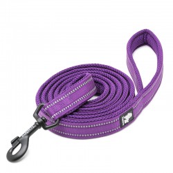 Truelove Walking Leash