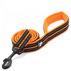 Truelove Walking Leash