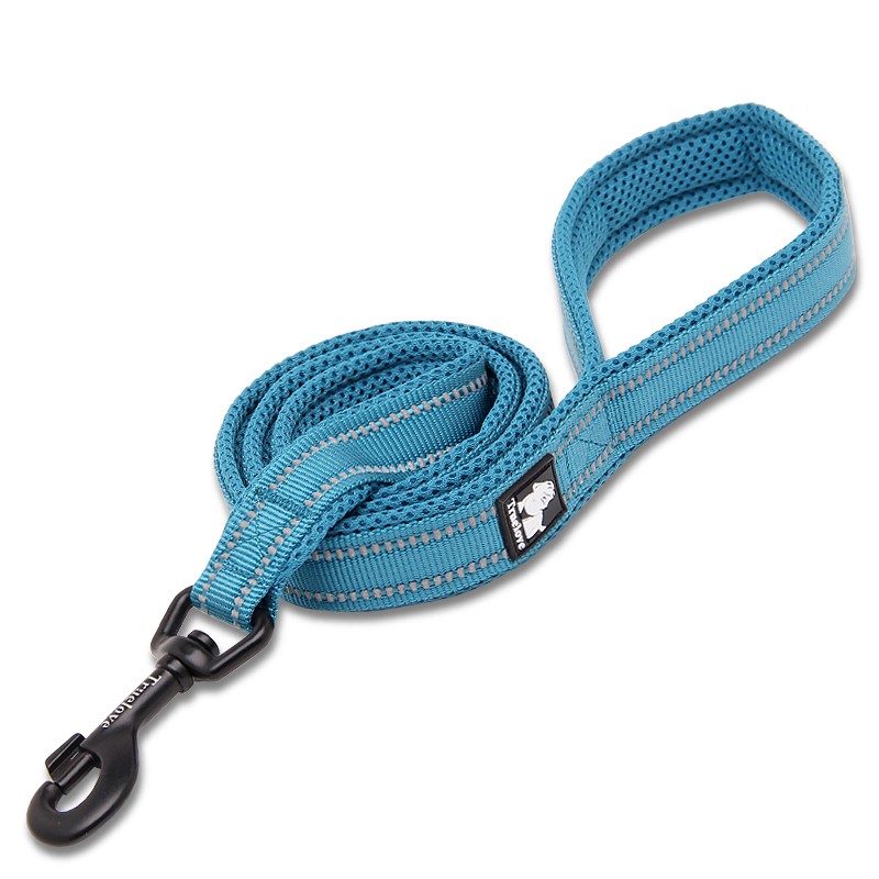 Truelove Walking Leash