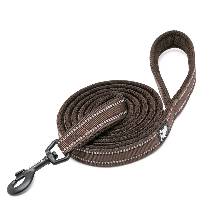 Truelove Walking Leash