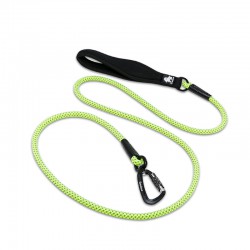 Truelove Running Leash