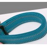 Truelove Climb Leash