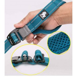 Truelove Climb Leash