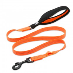 Truelove Pull Leash