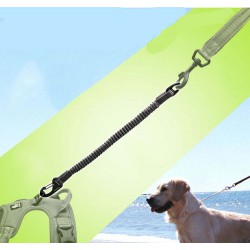 Truelove Extension Leash