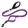 Truelove Flow Leash