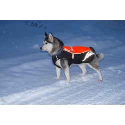 Truelove winter snow jacket for dogs