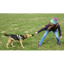 Truelove Club Dog Training Bag