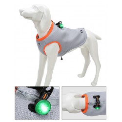 Truelove LED lights for Collars, Leashes and Harnesses