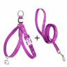 Truelove Mousse Harness and Leash for Cats