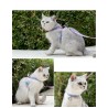 Truelove Mousse Harness and Leash for Cats