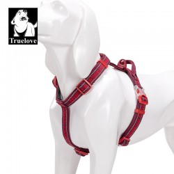 Truelove Escape + Harness